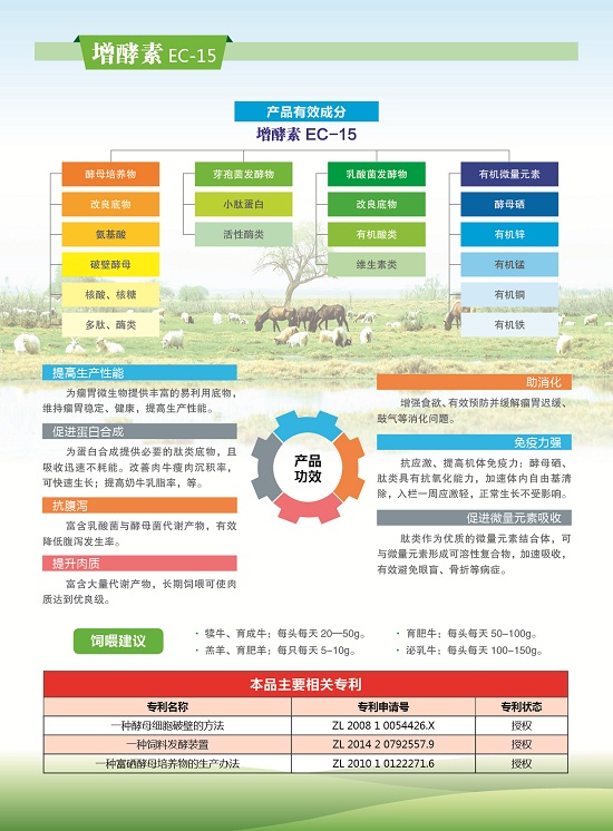 增酵素系列 (2).jpg